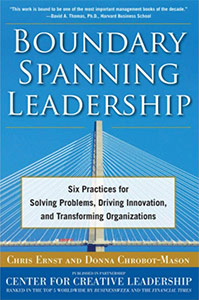 Boundary Spanning Leadership book cover