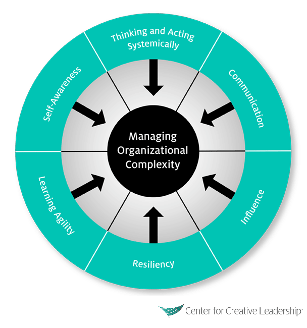 managing-organizational-complexity-infographic