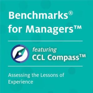 Benchmarks for Managers