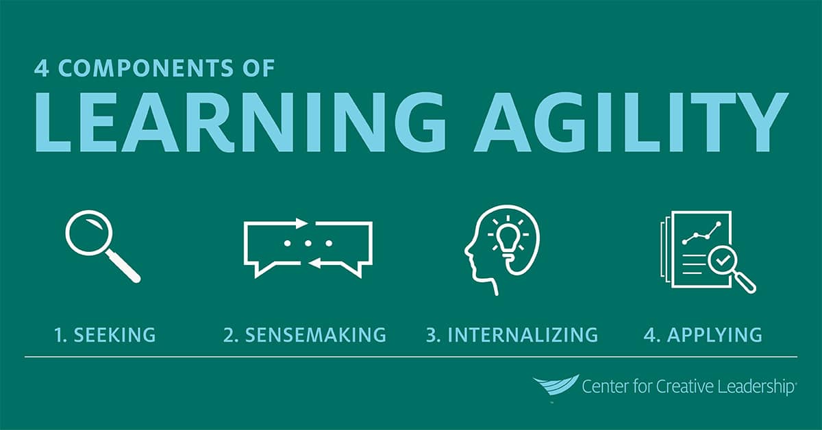 Infographic: 4 Components of Learning Agility for High Potentials