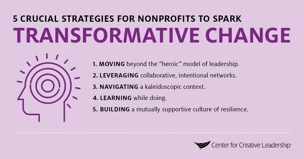 infographic on 5 leadership strategies social sector for nonprofits to spark transformational change