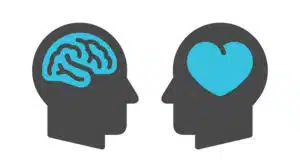 vector image of 2 heads with brain and heart representing soft skill development concept