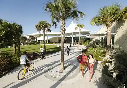 Eckerd College in St. Petersburg