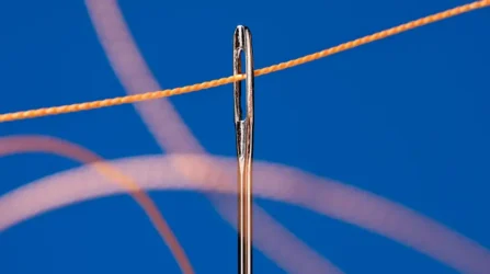 Threading the Needle: 10 Practices for Navigating Polycrisis While Advancing Socio-Ecological Wellbeing