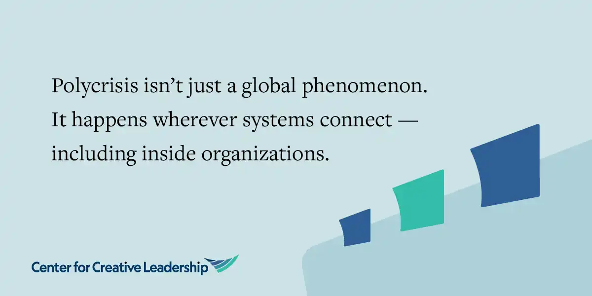 Polycrisis isn't just a global phenomenon. It happens wherever systems connect- including inside organizations.