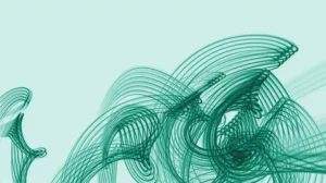 Entangled Organizations: Leading When Crises Converge CCL White Paper