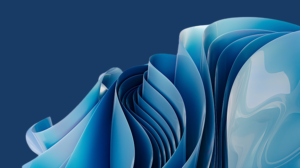 Wisdom transfer for successful leadership transitions